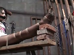 Aziatisch, Bondage discipline sadomasochisme, Fetisj, Japaans