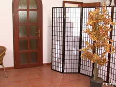 美女, エロティック, フェティッシュ, ハードコア, 3p男男女, 放尿, 三人, オッパイの