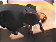 緊縛, ボンデージ