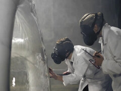 Bruinharig, Hardcore, Kut duiken