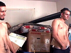 Hot twinks take turns pounding a curvy babe's juicy booty