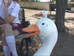 Amerikaans, Pijpbeurt, Autobus, Auto, Sperma in gezicht, Hardcore, Tiener, Uniformpje