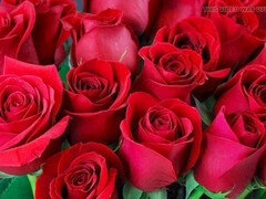 Aus dem arsch in den mund, Tante, Grosser arsch, Indisch, Reif, Milf, Mutti