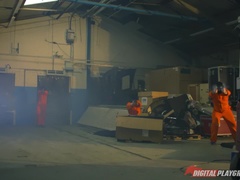 Blond, Pijpbeurt, Sperma shot, Hondjeshouding, Sperma in gezicht, Buiten, Realiteit, Billekoek