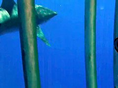 Lieveling, Grote mammen, Naakt, Realiteit, Sportoefening