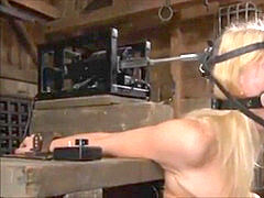 Sadomasochismus, Blasen, Domination, Extrem