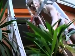 Amateur, Anal, Rubia, Masturbación, Solo, Medias largas, Juguetes