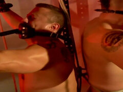 They are tied up and their backs are facing each other