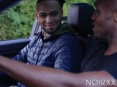 Анальный секс, Черные, Минет, Семяизвержение, Геи, Ласковые ручки, Секс без цензуры, Межрасовый секс