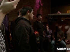 Bondage, Domination, Femme dominatrice, Partouze, Humiliation, Public, Strapon, Voyeur