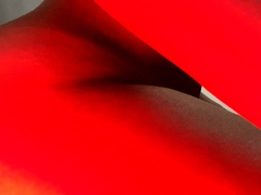 Leie, Masturbation, Solo, Spielzeuge, Netzkamera