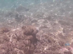 You hit the nude beach with Megan.