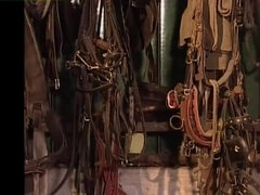 Anaal, Grote mammen, Hardcore, Ondergoed, Moeder die ik wil neuken, Buiten, Oud, Vrouw