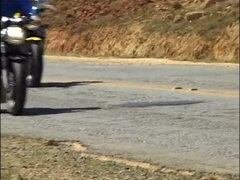 お尻, フェラチオ, 茶髪の, イく瞬間, チン, ハードコア, 異人種間, ラティーナ