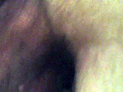 Португалки