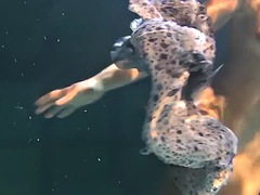 Tussi, Grosse titten, Braunhaarige, Pool, Russisch, Dusche, Jungendliche (18+), Titten