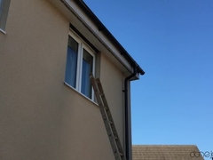 Blasen, Spermaladung, Schwarz, Aufs gesicht abspritzen, Fingern, Lecken, Spanner, Nass