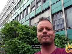 Grote kont, Bruinharig, Rondborstig, Hondjeshouding, Spier, Gezichtspunt, Openbaar, Realiteit