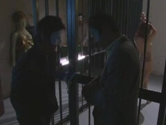 Beauté, Sucer une bite, Mignonne, Gorge profonde, Queue, Japonaise, Esclave, Nénés