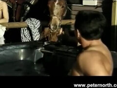 アナル, アジア人, フェラチオ, 茶髪の, オージー, Peter north, 剃毛, 三人