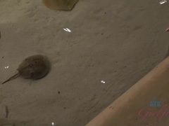 Schmutzig, Freundin, Masturbation, Pov, Muschi, Rasiert, Abendanzug, Nass