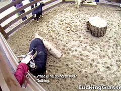 In den arsch, Blasen, Studentin, Spermaladung, Fingern, Reiten, Schreiend, Rasiert