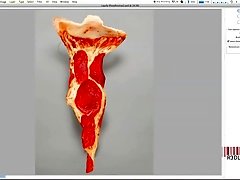 Photoshop Turns Pizza Into Woman