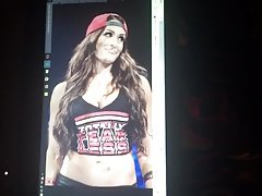 Nikki Bella cum tribute #9