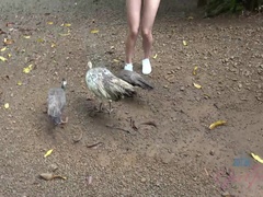 Пляж, Эксгибиционист, Подружка, На природе, Киски, Бритые, Курящие, Подглядывание