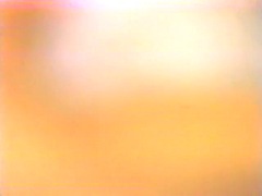 日本人, ヴィンテージ