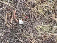 Большие сиськи, Член, Хд, Оргазм, На публике, Киски, Молоденькие, Сиськи