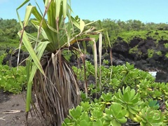 Любители, Пляж, Платье, Пальцем, Ласковые ручки, Оргазм, На публике, Сиськи