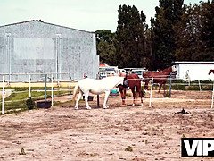 Polla, Sucio, Hembra, Hd, Pene