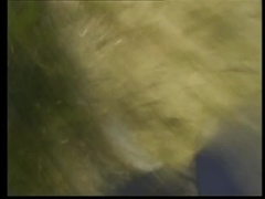 Anal, Verga grande, Mamada, Corridas, Alemán, Hd, Desnudo, Clasico