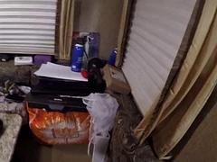 アナル, デカチン, 爸, 人形, ゲイ, ラティーナ, オナニー, おもちゃ