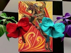 Sadomasochismus, Sklave