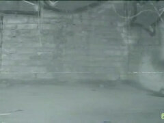 Bruinharig, Hd, Gezichtspunt