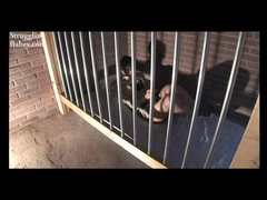 Business Babe Behind Bars