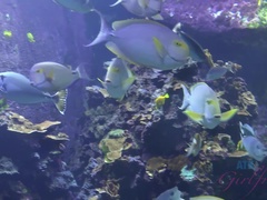 Leie, Strand, Braunhaarige, Auto, Freundin, Orgasmus, Öffentlich, Spanner