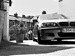 In den arsch, Puppe, Gruppe, Strümpfe