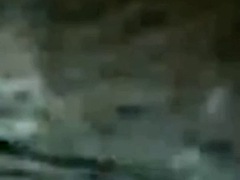 Любители, Бисексуалы, Черные, Черненькие, Геи, Итальянки