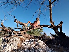 アナル, 女装男装, 足, 下着, メキシコ人, 裸, アウトドア, シーメール