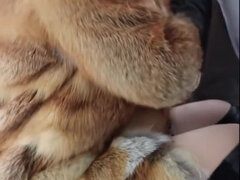 Anal, Sucer une bite, Éjaculation interne, Fétiche, Gants, Hd, Cuir, Rousse roux