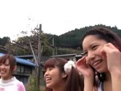 Asiático, Granja, Grupo, Japonés