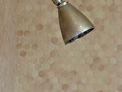 Negro, Morena, Corridas, Ébano, Besar, Masturbación, Perforación, Afeitado