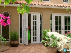 Kont, Grote kont, Zwart, Rondborstig, Buiten, Biljart, Tieten likken, Nat