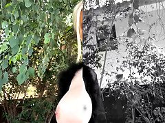 デカ尻, デカパイ, コンピレーション, フェティッシュ, 母, 怪物, ハメ撮り, 叫ぶ