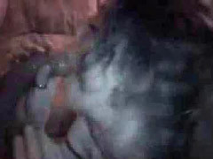 Amateur, Mamada, Atrapados, Engañando, Madres para coger, Chupando, Esposa, Intercambio de esposas