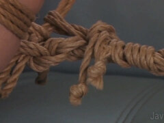 アジア人, 美女, 緊縛, デカパイ, ボンデージ, 日本人, ポルノスター, ヤリマン