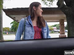 Bruinharig, Buiten, Softcore pornografie